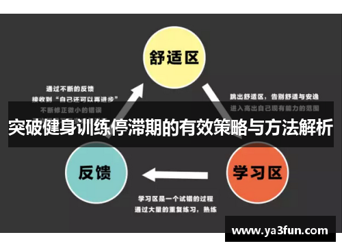 突破健身训练停滞期的有效策略与方法解析